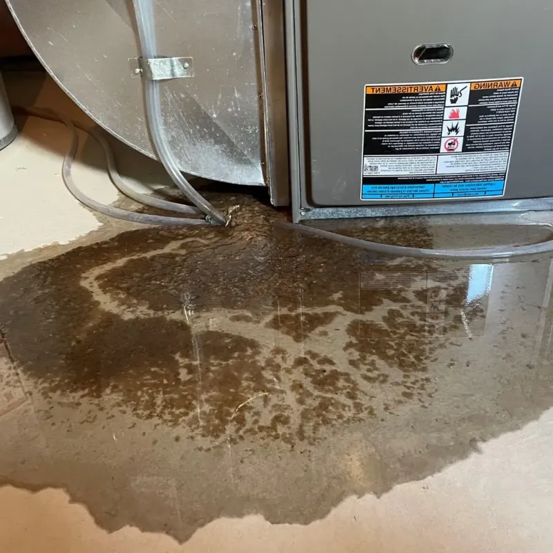 Pipe Burst and Leak Restoration in Altoona, PA