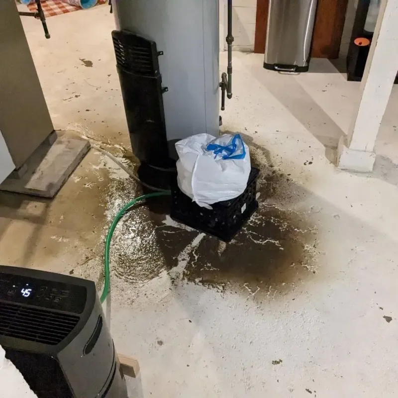 Sewage Backup Cleanup Service in Altoona, PA